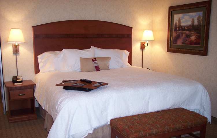 Hampton Inn&Suites Pocatello Camera foto
